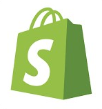 Ecommerce development icon